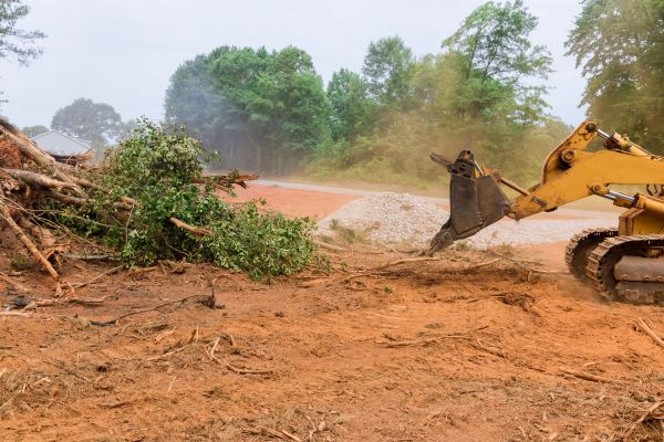 Ground Clearing in Madera