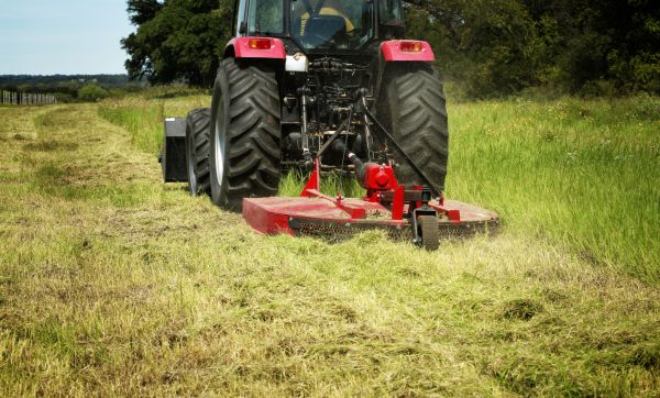 Brush Clearing Service in Madera