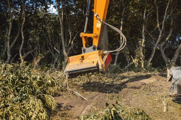 Brush Removal Service in Madera