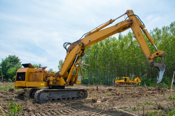 Farm Clearing in Madera
