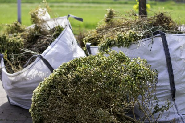 Cost of Bushes Clearing in Madera