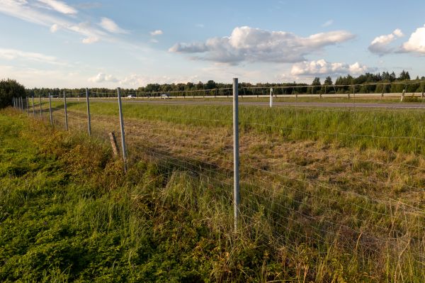 Property Line Clearing in Madera