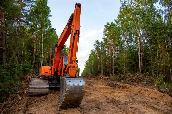Backhoe Land Clearing in Madera