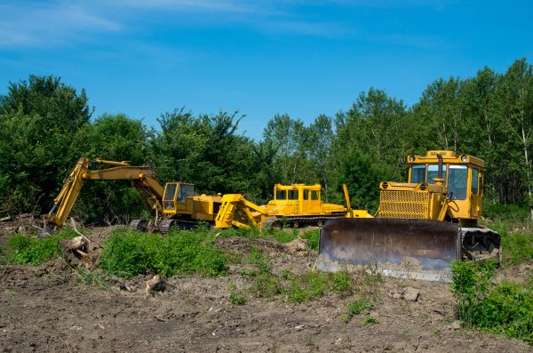 Bulldozer Clearing in Madera