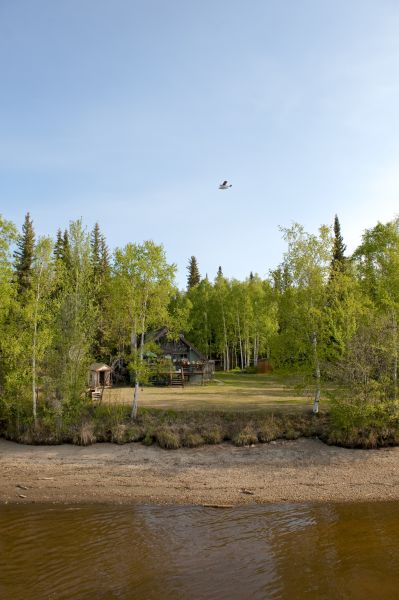 Waterfront Land Clearing in Madera