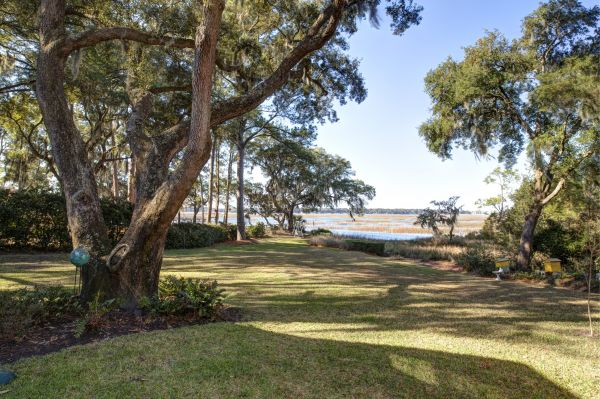 Lakefront Property Clearing in Madera
