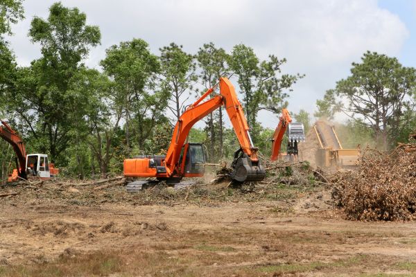 Commercial Lot Clearing in Madera