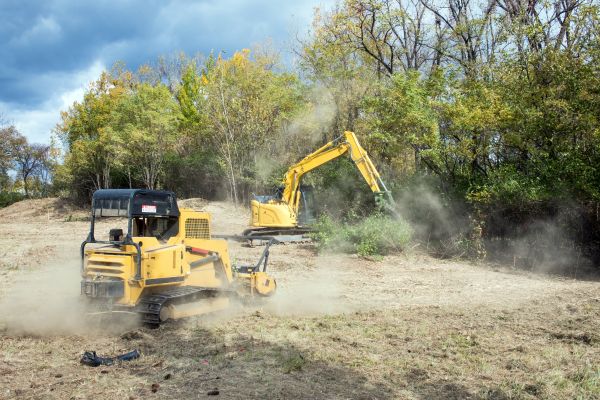 Terrain Clearing in Madera