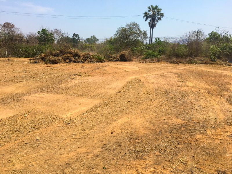 Post-Clearing Land Preparation